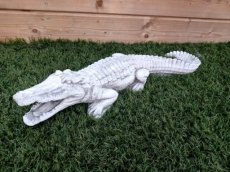 Krokodil 66cm
